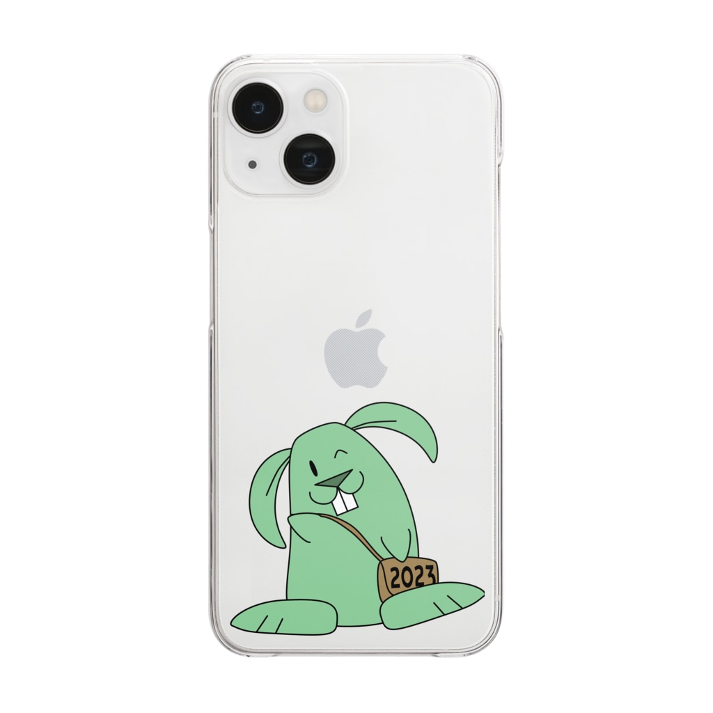 minty-clear-smartphone-case