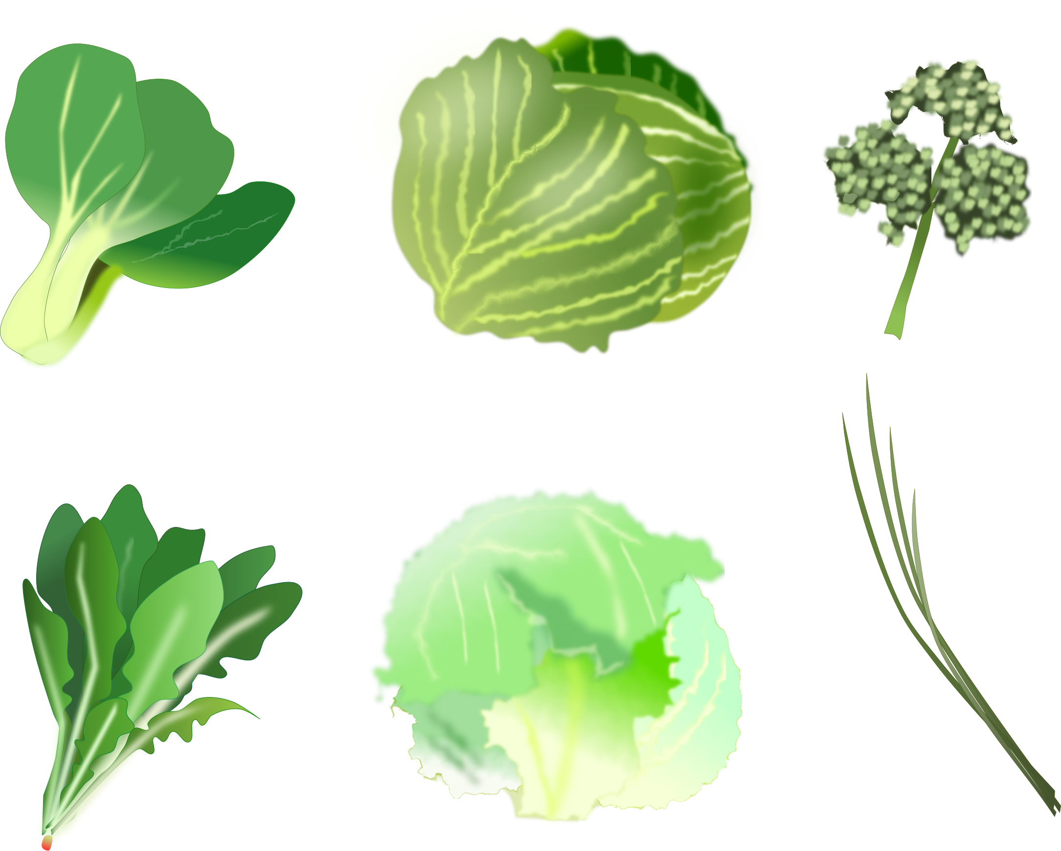 Leafy stem vegetables